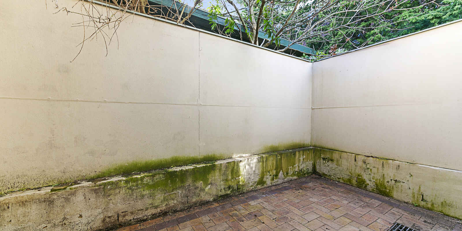55 GEORGE ST Burwood