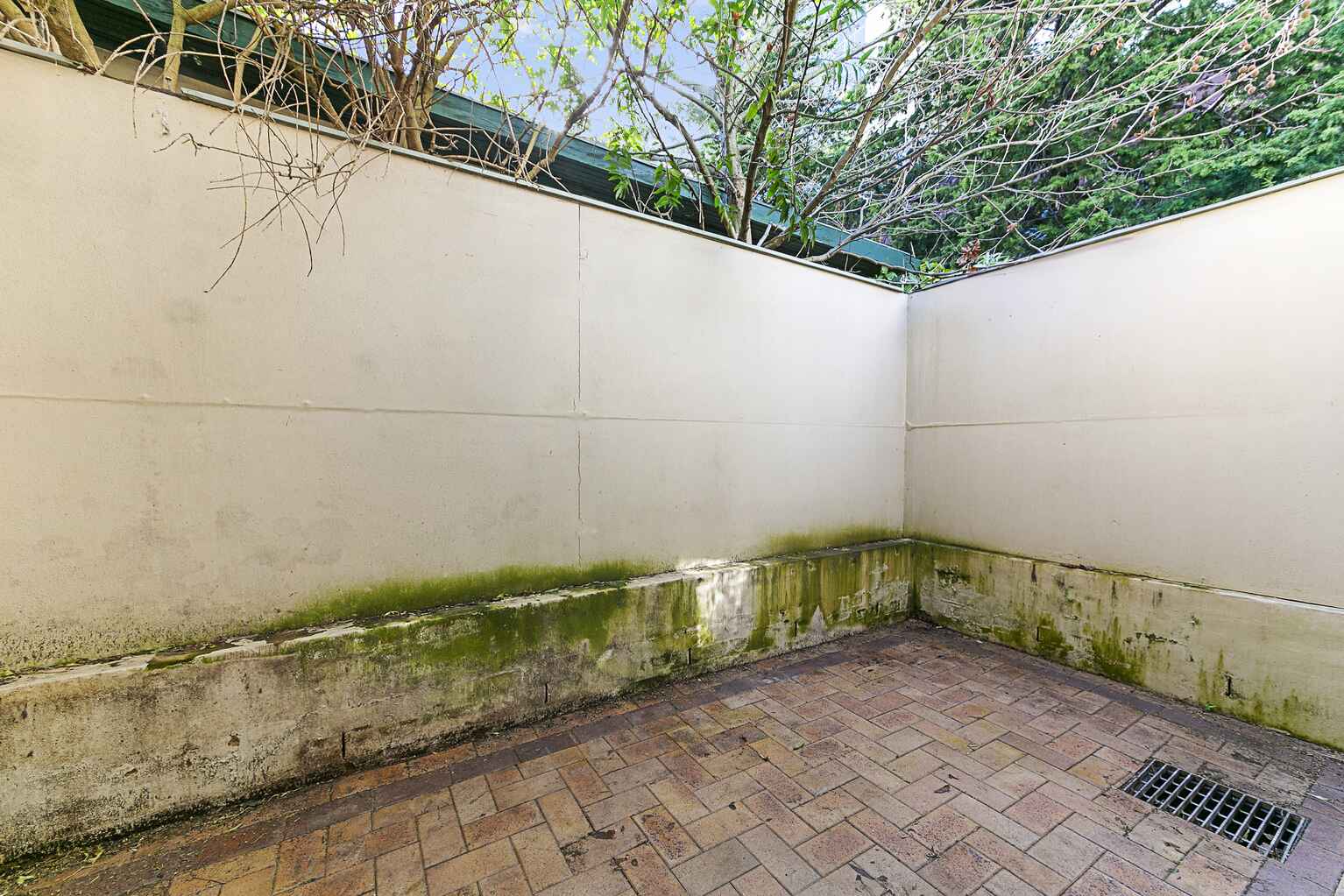 55 GEORGE ST Burwood