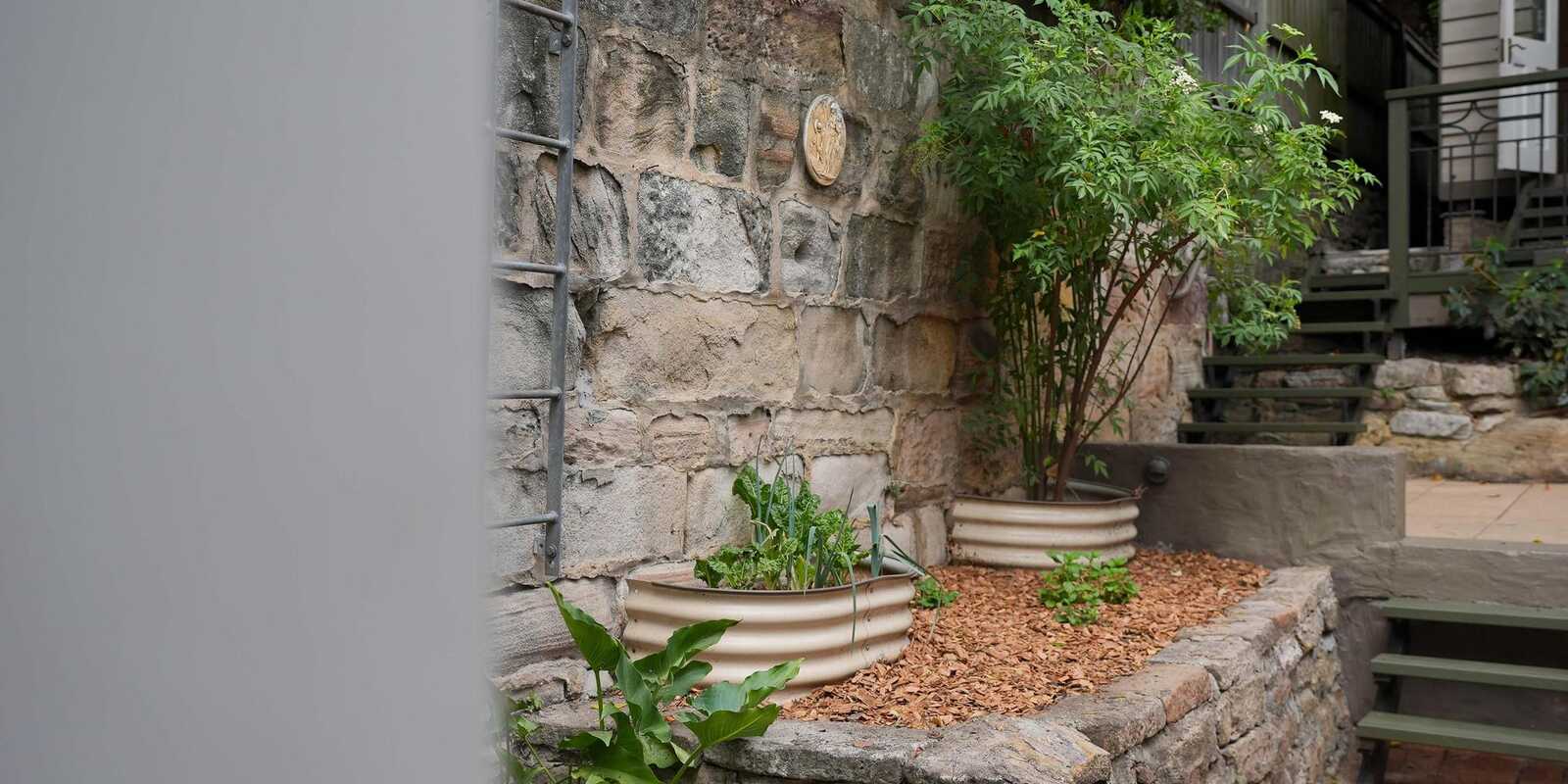 9 Graham Street Rozelle