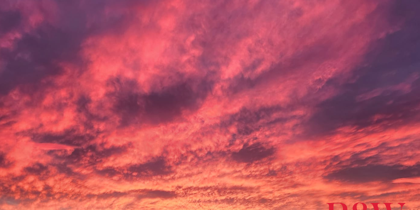 313/5 PADDOCK STREET Lidcombe