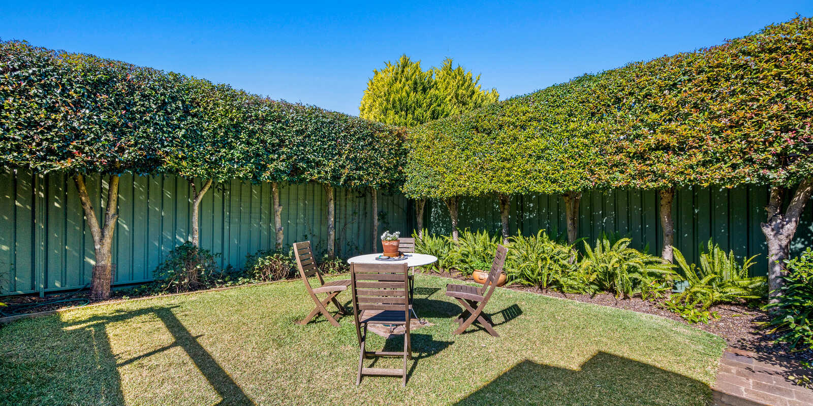 19 Ardgryffe Street Burwood Heights 19 Ardgryffe Street Burwood Heights