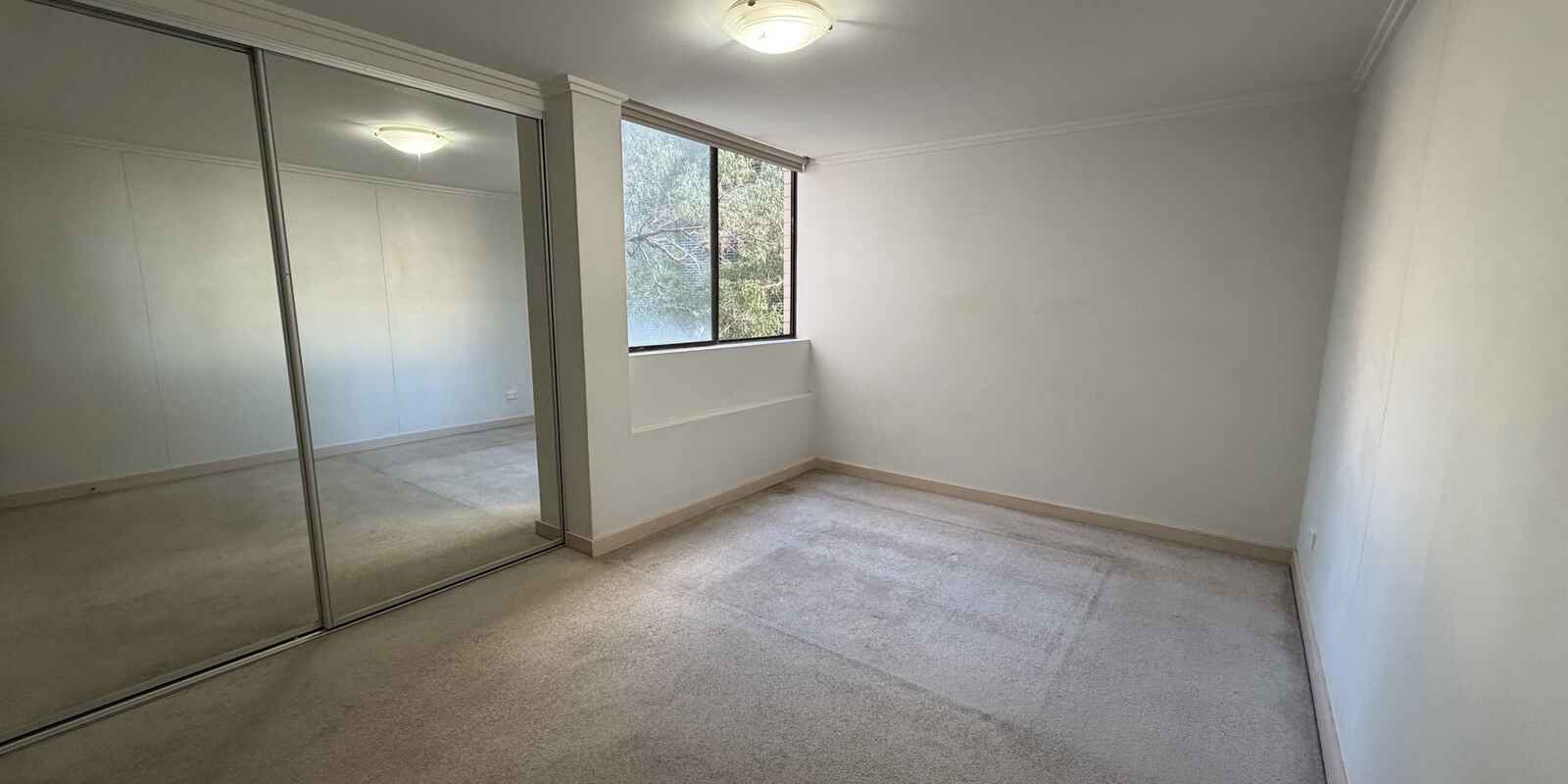 6/17 Everton Road Strathfield