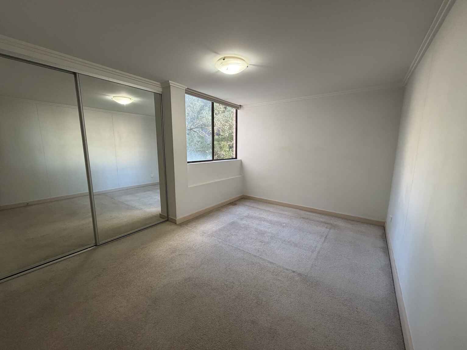 6/17 Everton Road Strathfield